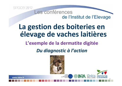 La gestion des boiteries - Institut de l'Elevage