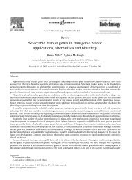 Selectable marker genes in transgenic plants - Ministère de l ...