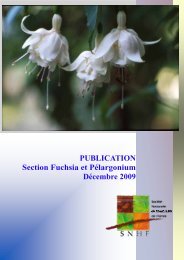 Décembre 2009 - Société Nationale d'Horticulture de France