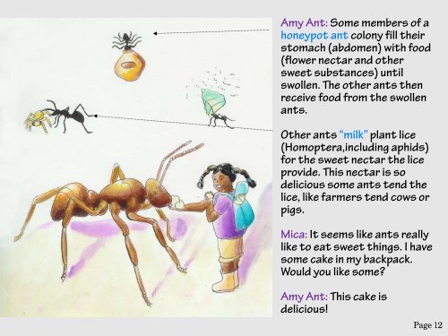 Ant story - Smithsonian, National Museum of Natural History ...