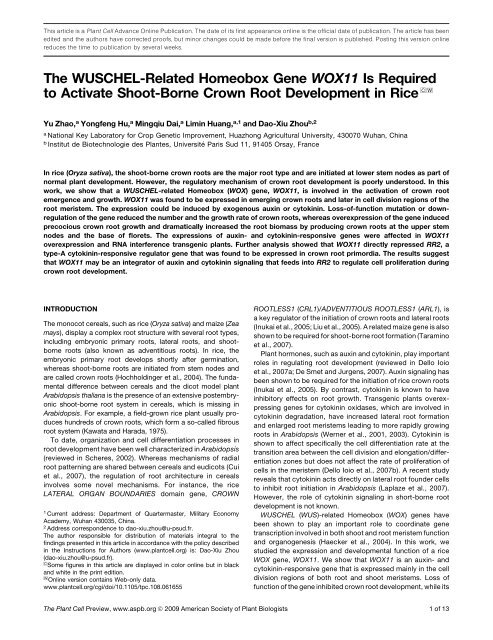 The WUSCHEL-Related Homeobox Gene WOX11 Is Required to ...