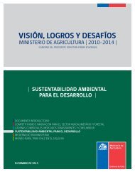 Pilar-3-Sustentabilidad-Ambiental-para-el-Desarrollo