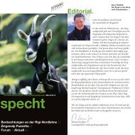 specht - Bergwaldprojekt