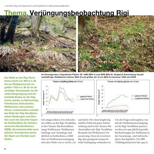 specht - Bergwaldprojekt