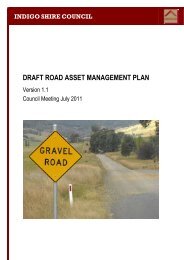 DRAFT ROAD ASSET MANAGEMENT PLAN - Indigo Shire Council