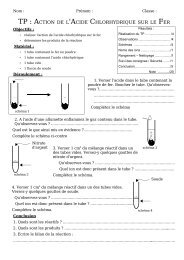 TP : ACTION DE L 'ACIDE CHLORHYDRIQUE SUR LE FER - Free