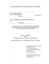 Ferguson V Patton Supreme Court Opening Brief City Of Chicago