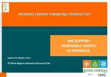 Investments into biomass to energy projects in Indonesia