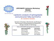 Lipidomic analysis of sphingolipids (and precursor fatty ... - Lipid Maps