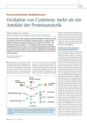 Oxidation von Cysteinen: mehr als ein Artefakt der ... - Biospektrum
