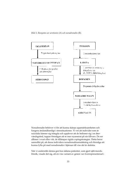 Den andra nationella nÃ¤tverkskonferensen.pdf