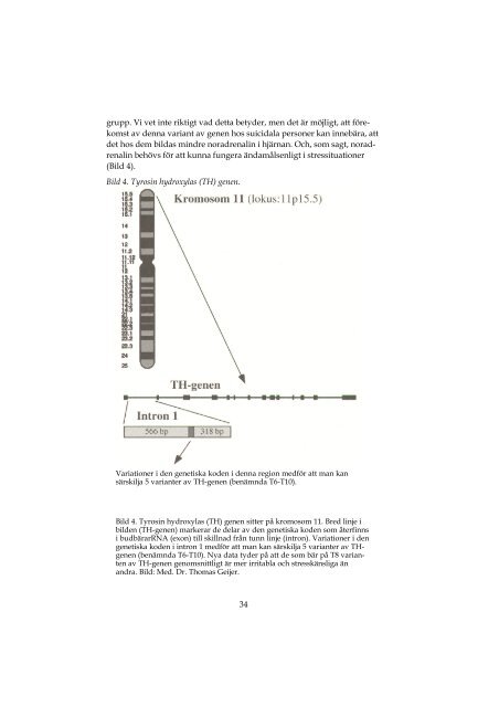 Den andra nationella nÃ¤tverkskonferensen.pdf