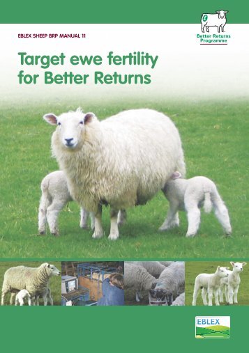 Manual 11 â Target ewe fertility for better returns - Eblex