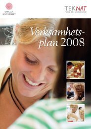 47 64720_167-vp2008.pdf - Teknisk-naturvetenskapliga fakulteten ...