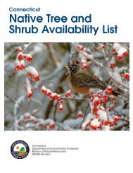 Connecticut Native Tree and Shrub Availability List - CT.gov