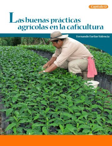 Las buenas prÃ¡cticas agrÃ­colas en la caficultura - CenicafÃ©