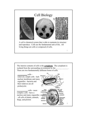 Cell Biology 2.pdf