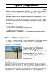 VÃ©gÃ©tation de la rÃ©gion de Toliara - CollÃ¨ge FranÃ§ais de TulÃ©ar