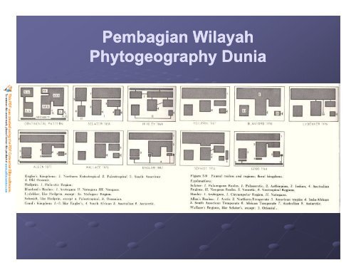 PEMBAGIAN WILAYAH BIOGEOGRAFI