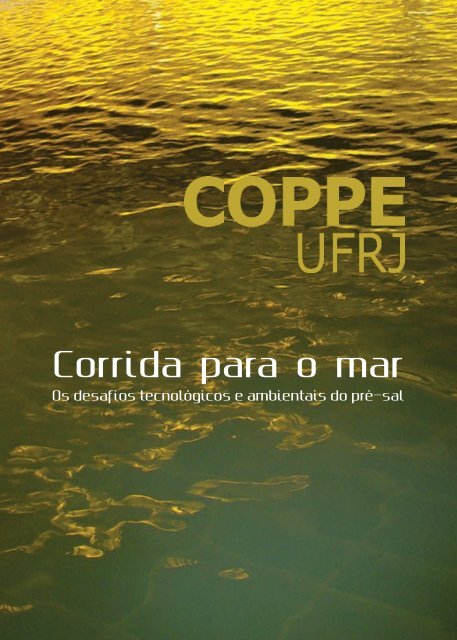 Corrida para o mar - Coppe - UFRJ