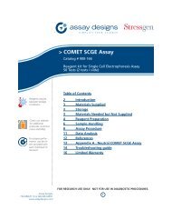 COMET SCGE Assay - Enzo Life Sciences