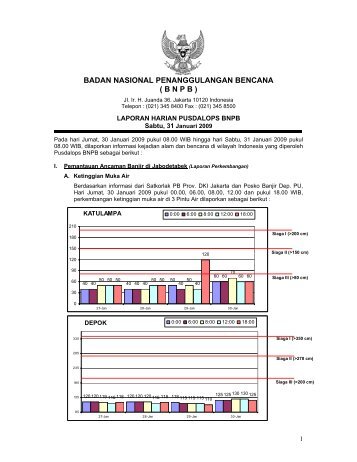 Laporan Harian 31 Januari 2009 - BNPB