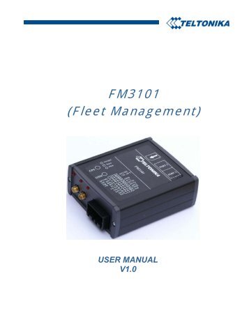 FM3101 (Fleet Management) - Teltonika