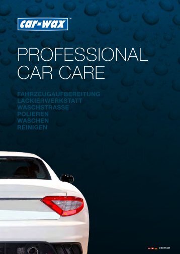 PROFESSIONAL CAR CARE