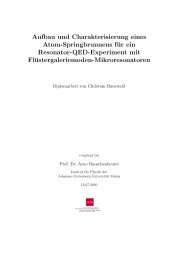 Diplomarbeit Christian Hauswald