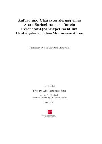 Diplomarbeit Christian Hauswald