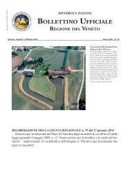 Bur N 13 Del 11 Febbraio 2011 - Bollettino Ufficiale della Regione ...