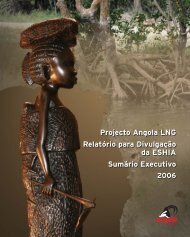 Projecto Angola LNG Relatório para Divulgação da ESHIA Sumário ...