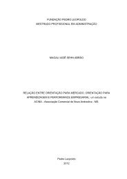 fundaÃ§Ã£o pedro leopoldo mestrado profissional em administraÃ§Ã£o ...