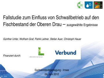 Einfluss von Schwallbetrieb auf den Fischbestand der Oberen Drau