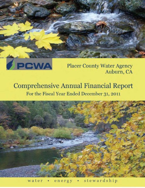 2011 Comprehensive Annual Financial Report (CAFR)