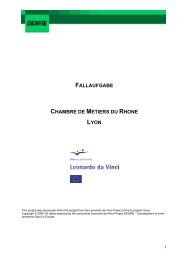 Fallaufgaben HWK Lyon PDF-Datei - DESIRE - Development of ...