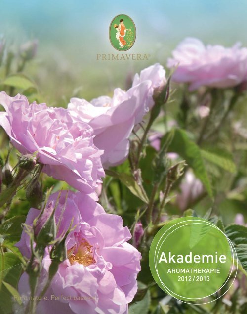 Pdf-Download - primavera akademie