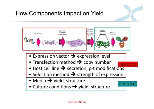 Fc-Fusion Proteins: A Growing Class of Therapeutics - Austropa ...