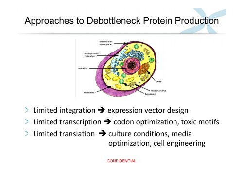 Fc-Fusion Proteins: A Growing Class of Therapeutics - Austropa ...