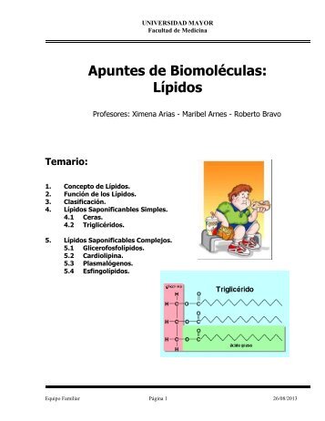 Apuntes Lipidos Bioq Enf 2013 - Profesora Maribel Arnes