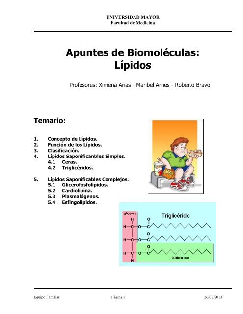 Apuntes Lipidos Bioq Enf 2013 - Profesora Maribel Arnes