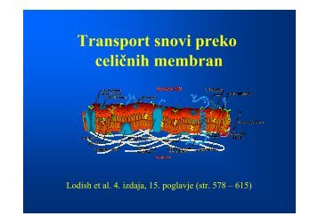 Transport snovi preko BM.pdf