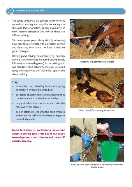 Calving and Care of the Newborn Calf - Animal Health Ireland