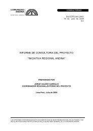 informe de consultoria del proyecto iniciativa regional andina - Intranet