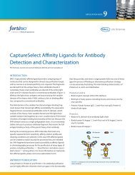 CaptureSelect Affinity Ligands for Antibody Detection and ... - ForteBio