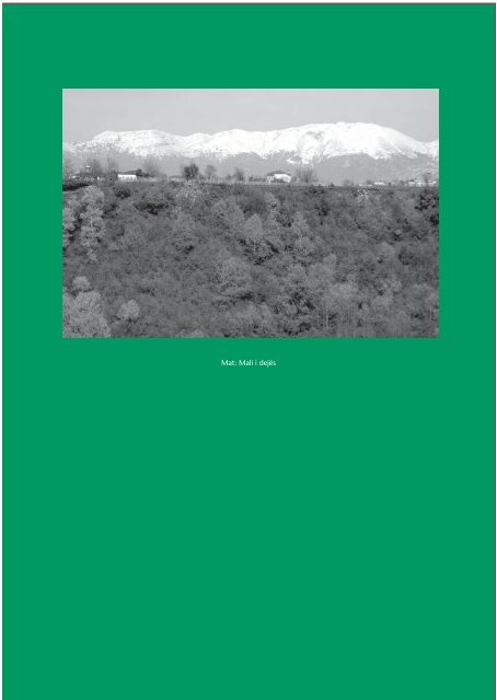 Albanische Hefte -2-2005 - PDF - Deutsch-Albanische ...