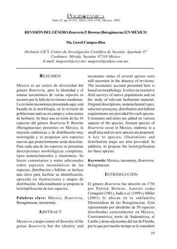 RevisiÃ³n del gÃ©nero Bourreria P. Browne (Boraginaceae) en MÃ©xico ...