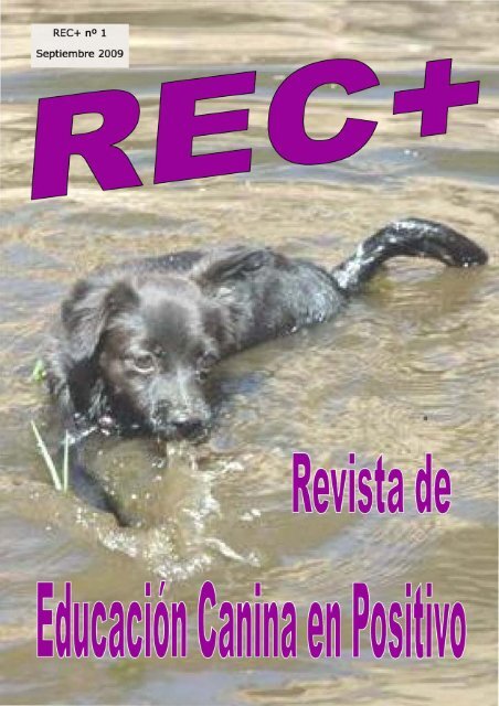 [PDF] **REC+ , nÂº1 - Septiembre 2009 - Voraus