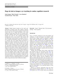 Dogs do look at images: eye tracking in canine cognition ... - Springer