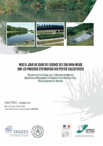PDF (rapport) - ENGEES
